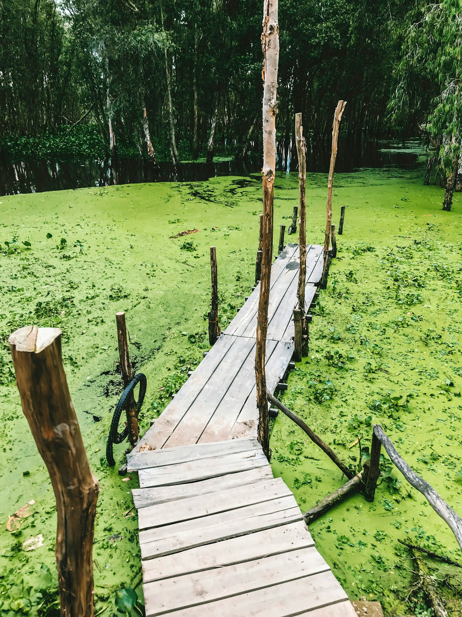 Hidden Gems of An Giang: A Traveler’s Guide